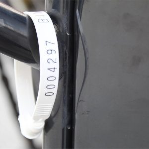 IMG_39101_-38-1-1.jpg