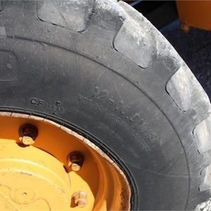 IMG_42281_-17-1-1.jpg